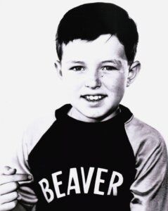 Leave it to Beaver