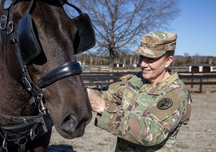 U.S. Army Reserve Maj. (Dr.) Moira Roberts examines Perseus, one of the horses in the U.S. Army's Caisson Detachment. Roberts, an equine veterinarian, was part of the team brought to Virginia in 2024 to oversee the care and treatment of the horses. Photo by Russell Toof